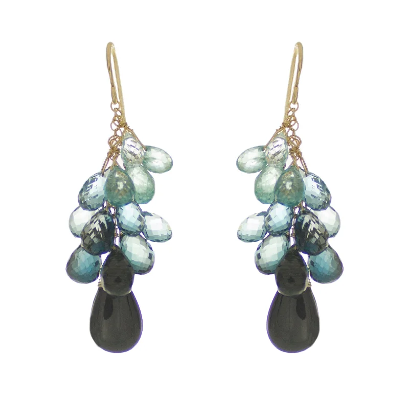 ladies cubic zirconia earrings-Shades of Blues/Black Drop Earrings