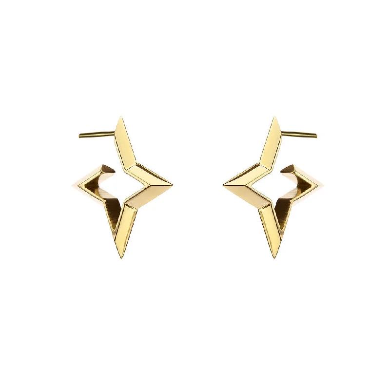 ladies gold gemstone earrings-D Star Earrings