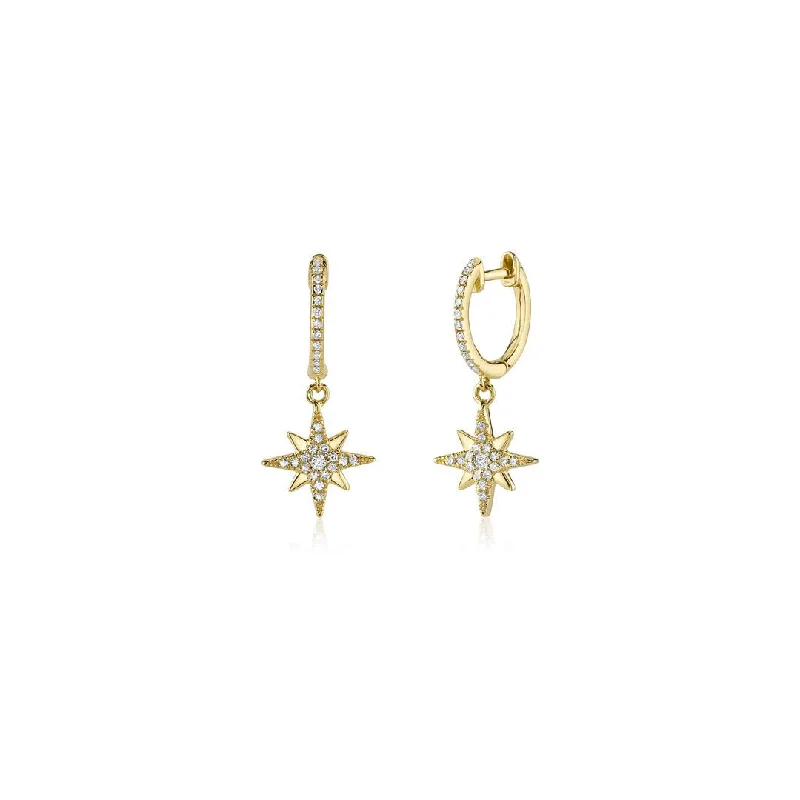 ladies nature-inspired earrings-0.19 ctw Diamond Drop Earrings